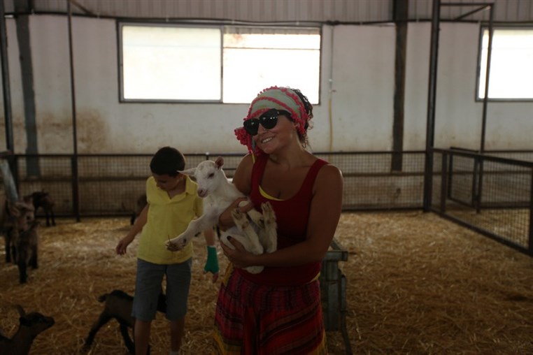 Dairy Khoury Farm Gates Opening